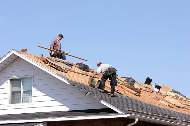 Best Metal Roofing Installation  in Sturgeon Bay, WI